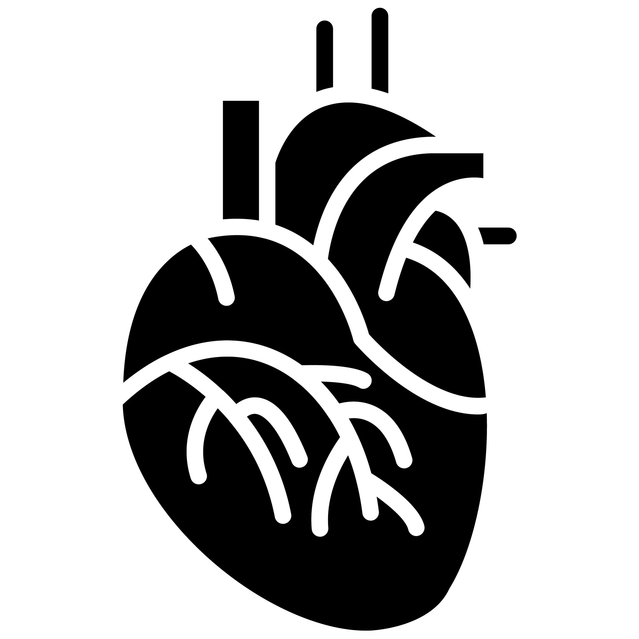 cardiovascular nutrition